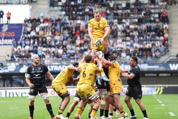 030526 - Montpellier Herault Rugby v Dragons RFC - EPCR Challenge Cup Semi Final - Ben Carter of Dragons wins the ball