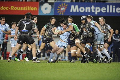 Montpellier v Cardiff Blues 151212