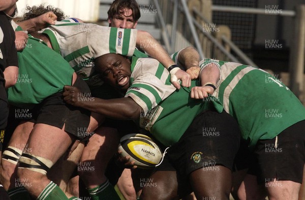 150303 - Neath v Caerphilly - Welsh Premiership - Llanelli prop Martyn Madden in action for Caerphilly as part of his efforts to prove himself match-fit for the remaining Welsh International matches