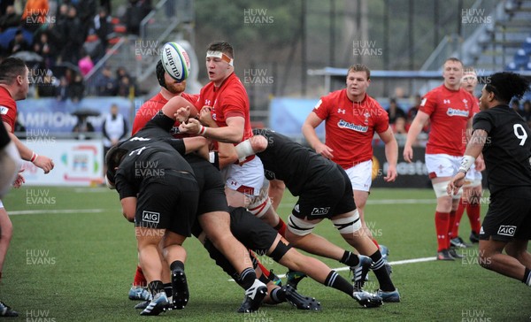170619 - New Zealand U20 v Wales U20 - World Rugby Under 20 Championship - 5th Place Semi-Final -  Morgan Jones of Wales rips the ball from the New Zealand players as they rumble in a driving maul