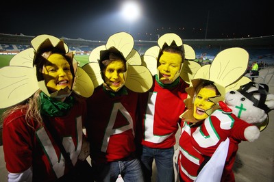 19.06.10 - New Zealand v Wales - 2010 Steinlager Series - Wales fans before the game. 