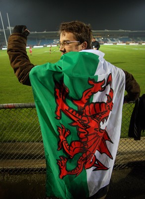 19.06.10 - New Zealand v Wales - 2010 Steinlager Series - A Wales fan before the game. 