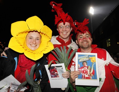 19.06.10 - New Zealand v Wales - 2010 Steinlager Series - Wales fans before the game. 
