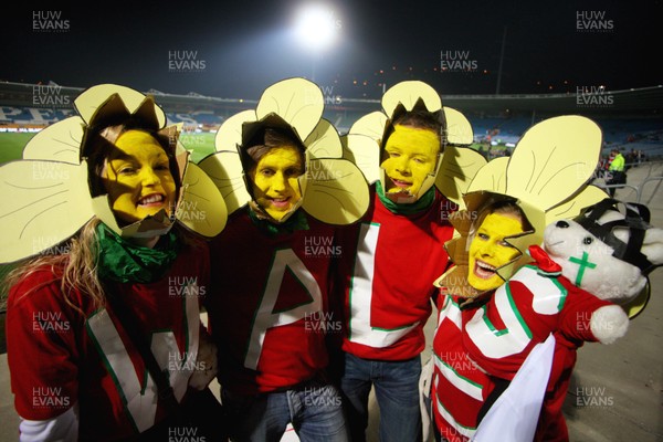 19.06.10 - New Zealand v Wales - 2010 Steinlager Series - Wales fans before the game. 