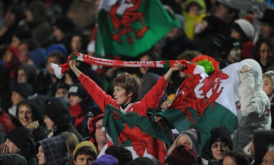 26.06.10 - New Zealand v Wales - 2010 Steinlager Series - Wales fans. 