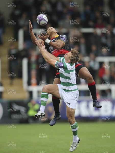 141017 - Newcastle Falcons v Dragons, European Challenge Cup - Ashton Hewitt of Dragons and Sam Stuart of Newcastle Falcons compete for the ball