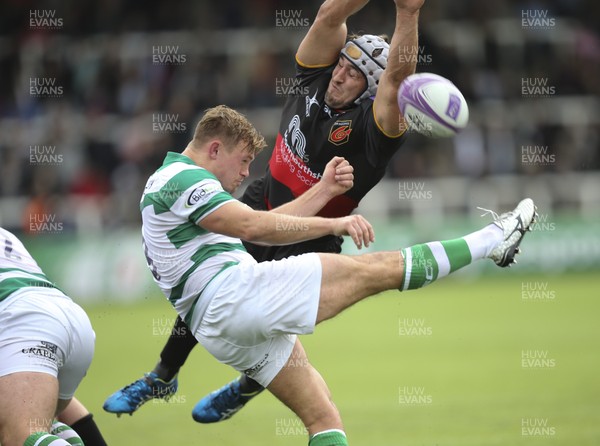 141017 - Newcastle Falcons v Dragons, European Challenge Cup - Ollie Griffiths of Dragons charges down the kick from Sam Stuart of Newcastle Falcons