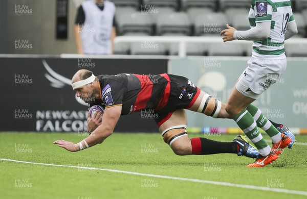 141017 - Newcastle Falcons v Dragons, European Challenge Cup - Rynard Landman of Dragons dives in to score try