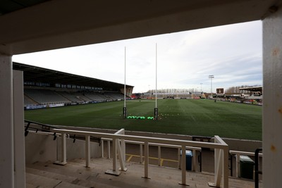 Newcastle Falcons v Dragons RFC 151224