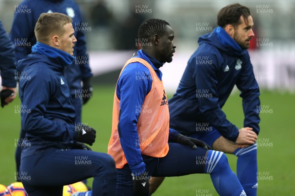 190119 - Newcastle United v Cardiff City - Premier League - The Cardiff City players warm up before kick off