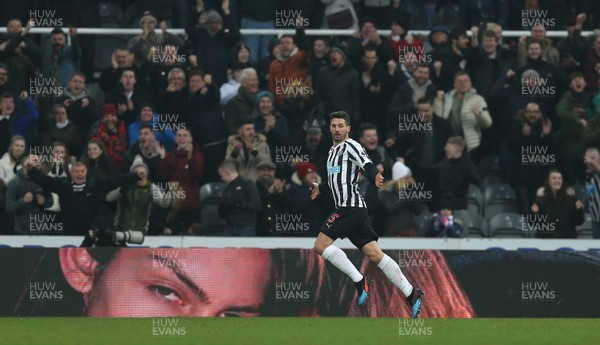 190119 - Newcastle United v Cardiff City - Premier League - Fabian Schar of Newcastle United celebrates after putting his team 1-0 up