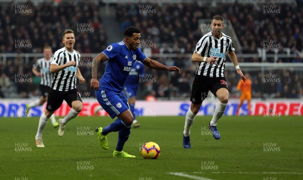 190119 - Newcastle United v Cardiff City - Premier League - Nathaniel Mendez-Laing of Cardiff City on the attack