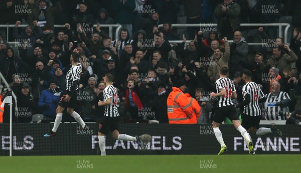 190119 - Newcastle United v Cardiff City - Premier League - Fabian Schar of Newcastle United celebrates after scoring his second goal of the match, putting his team 2-0 up