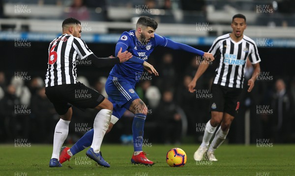 190119 - Newcastle United v Cardiff City - Premier League - Jamaal Lascelles of Newcastle United and Callum Paterson of Cardiff City
