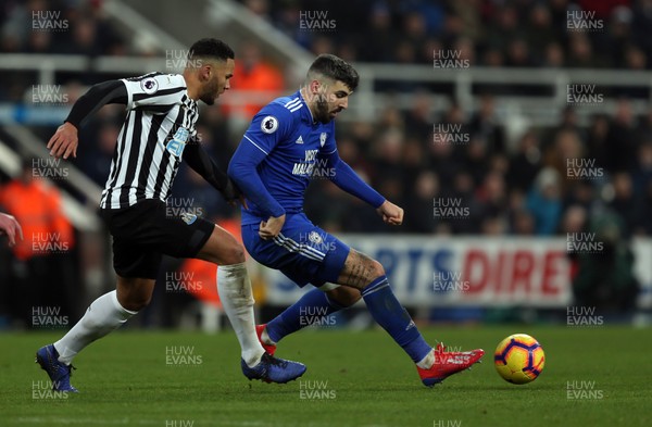 190119 - Newcastle United v Cardiff City - Premier League - Jamaal Lascelles of Newcastle United and Callum Paterson of Cardiff City