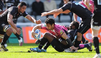 11.04.10 - Newcastle Falcons v Cardiff Blues - Amlin Challenge Cup Quarter Final - Casey Laulala of Cardiff Blues scores try. 