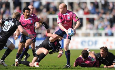 11.04.10 - Newcastle Falcons v Cardiff Blues - Amlin Challenge Cup Quarter Final - Martyn Williams of Cardiff Blues looks for support. 