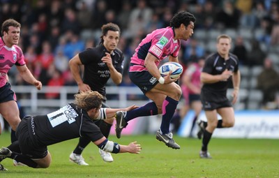 11.04.10 - Newcastle Falcons v Cardiff Blues - Amlin Challenge Cup Quarter Final - Casey Laulala of Cardiff Blues jumps out of a Jon Golding of Newcastle Falcons tackle. 