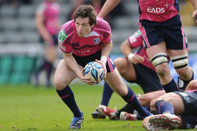 11.04.10 - Newcastle Falcons v Cardiff Blues - Amlin Challenge Cup Quarter Final - Darren Allinson of Cardiff Blues. 