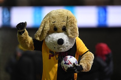 291225 - Newport County v Crewe Alexandra - Sky Bet League 2 - Newport County mascot, Spytty the dog
