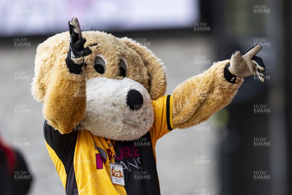 110426 - Newport County v Harrogate Town - Sky Bet League 2 - Spytty the dog ahead of kick off