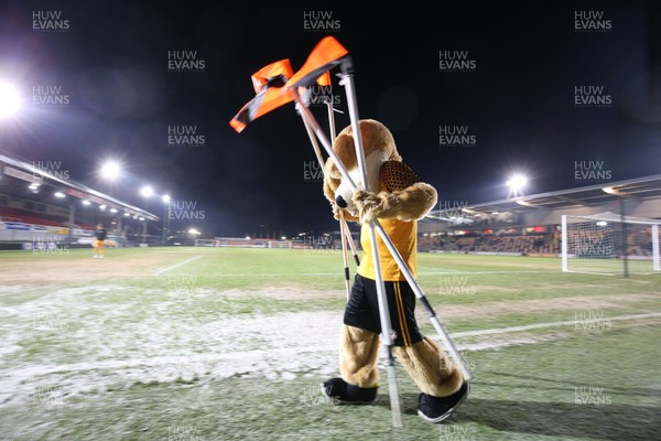 210120 - Newport County v Leicester City U21s, EFL Leasingcom Trophy Quarter-Final - Newport County mascot Spytty the Dog collects the corner flags after the match is postponed just 20 minutes before it was due to start due to a frozen pitch
