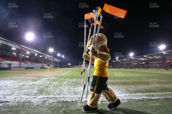 210120 - Newport County v Leicester City U21s, EFL Leasingcom Trophy Quarter-Final - Newport County mascot Spytty the Dog collects the corner flags after the match is postponed just 20 minutes before it was due to start due to a frozen pitch