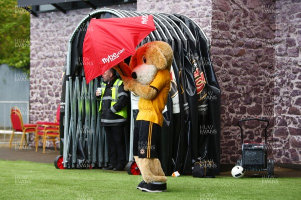 270419 Newport County v Lincoln City - Sky Bet League 2 - Spytty the dog has a little trouble with storm Hannah 
