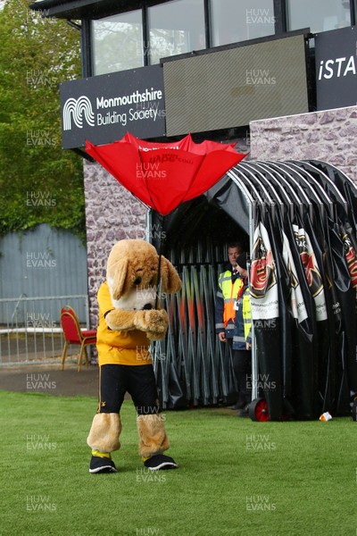 270419 Newport County v Lincoln City - Sky Bet League 2 - Spytty the dog has a little trouble with storm Hannah 