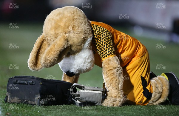 070120 - Newport County v MK Dons - Leasingcom Trophy - K9 the Newport Mascot gives a unattended bag a good sniff
