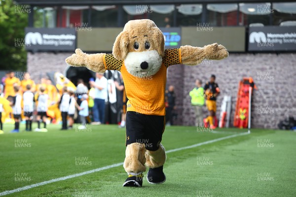 170819 Newport County vs Plymouth Argyle - Sky Bet League 2 - Spytty the Dog of Newport County arrives pitch side 