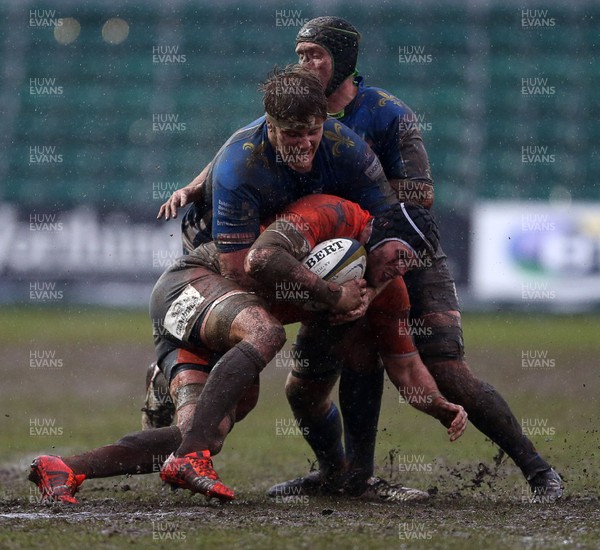 290117 - Newport Gwent Dragons v Newcastle Falcons - Anglo-Welsh Cup - Will Welch of Newcastle is tackled by Matthew Screech of Newport Gwent Dragons