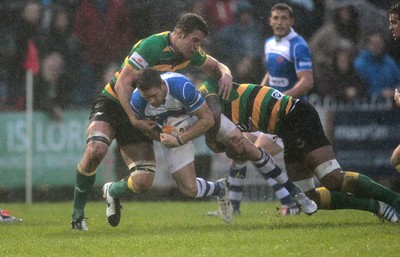 Newport Gwent Dragons v Northampton 290814