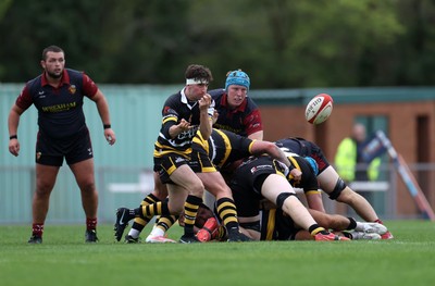 120926 - Newport RFC v Rygbi RGC - Super Rygbi Cymru - SRC - Dafydd Buckland of Newport 