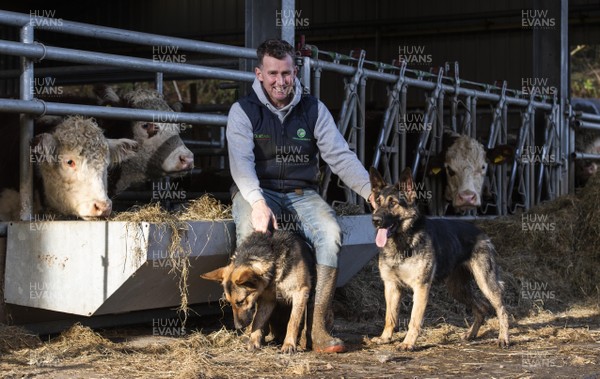 251120 -  International rugby referee Nigel Owens with his dogs Bella and Aria on his farm in Pontyberem near Carmarthen, West Wales ahead of his 100 test match as referee