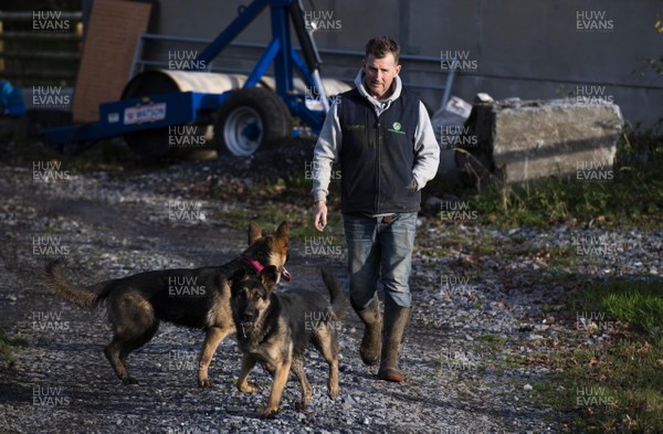 251120 -  International rugby referee Nigel Owens with his dogs Bella and Aria on his farm in Pontyberem near Carmarthen, West Wales ahead of his 100 test match as referee