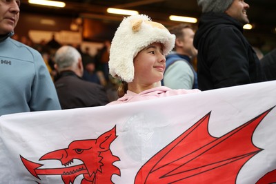 181026 - Northampton Saints v Cardiff Rugby - Investec Champions Cup - Cardiff fan