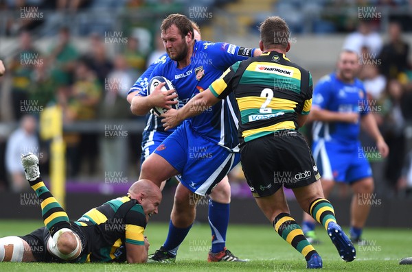 120817 - Northampton Saints v Dragons Rugby - Preseason Friendly - Robson Blake of Dragons