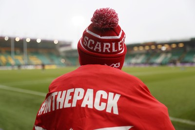 180126 - Northampton Saints v Scarlets - European Rugby Champions Cup - Scarlets fans