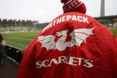 180126 - Northampton Saints v Scarlets - European Rugby Champions Cup - Scarlets fans