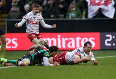 180126 - Northampton Saints v Scarlets - European Rugby Champions Cup - Ryan Elias of Scarlets scores a try