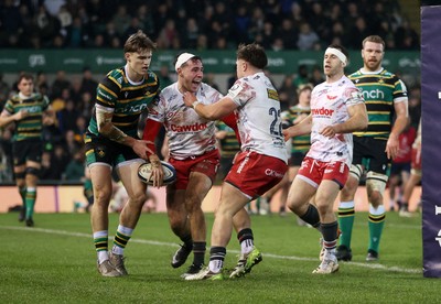 180126 - Northampton Saints v Scarlets - European Rugby Champions Cup - Jac Davies of Scarlets celebrates scoring a try with team mates