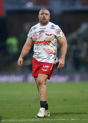 180126 - Northampton Saints v Scarlets - European Rugby Champions Cup - Henry Thomas of Scarlets 