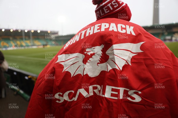 180126 - Northampton Saints v Scarlets - European Rugby Champions Cup - Scarlets fans
