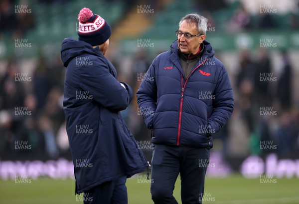 180126 - Northampton Saints v Scarlets - European Rugby Champions Cup - Scarlets Director of Rugby Nigel Davies