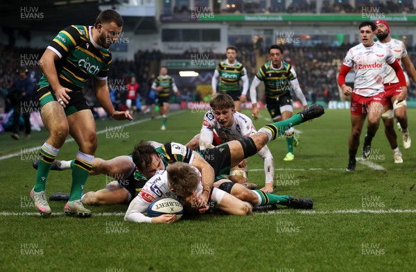 180126 - Northampton Saints v Scarlets - European Rugby Champions Cup - Archie Hughes of Scarlets gets over the line to score a try