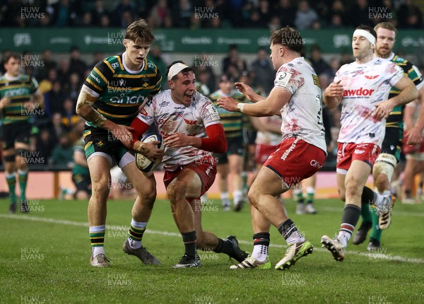 180126 - Northampton Saints v Scarlets - European Rugby Champions Cup - Jac Davies of Scarlets celebrates scoring a try with team mates