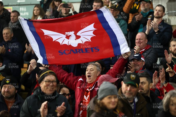 180126 - Northampton Saints v Scarlets - European Rugby Champions Cup - Scarlets thank the fans at full time