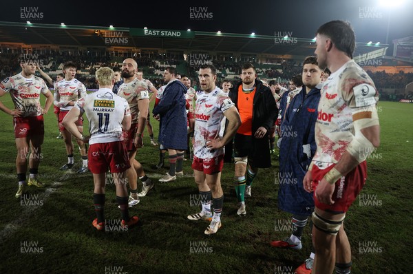 180126 - Northampton Saints v Scarlets - European Rugby Champions Cup - Dejected Gareth Davies of Scarlets at full time