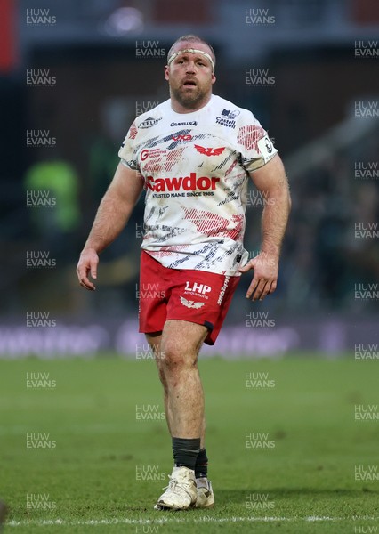 180126 - Northampton Saints v Scarlets - European Rugby Champions Cup - Henry Thomas of Scarlets 